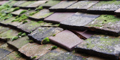 Warrington roof repair costs